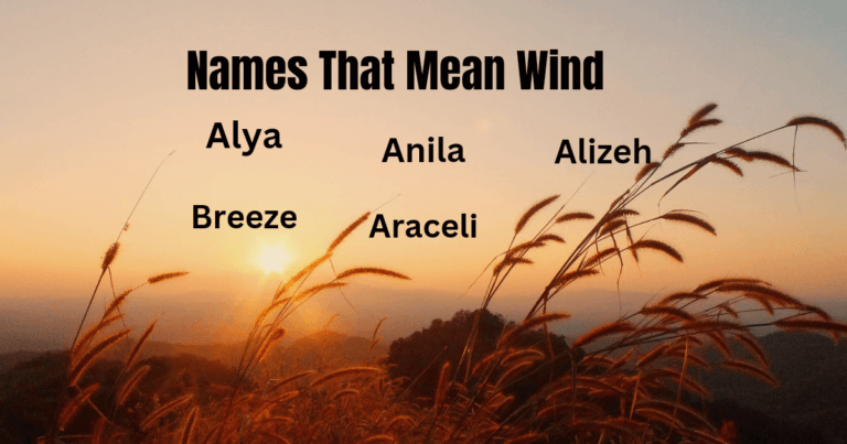 names that mean wind