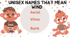 Inisex names that mean wind