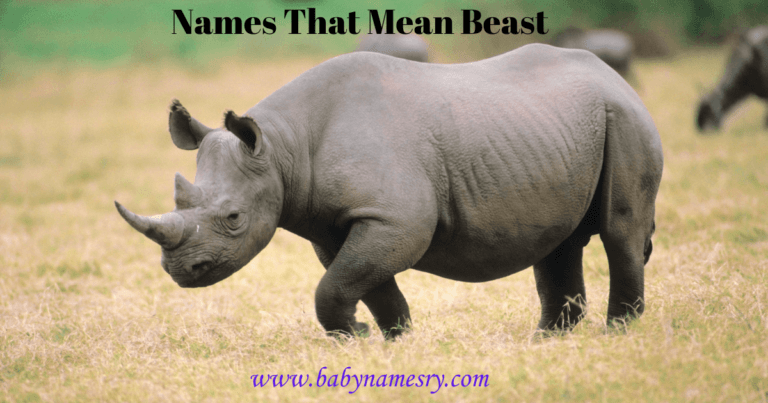 names that mean beast