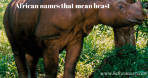 African names that mean beast