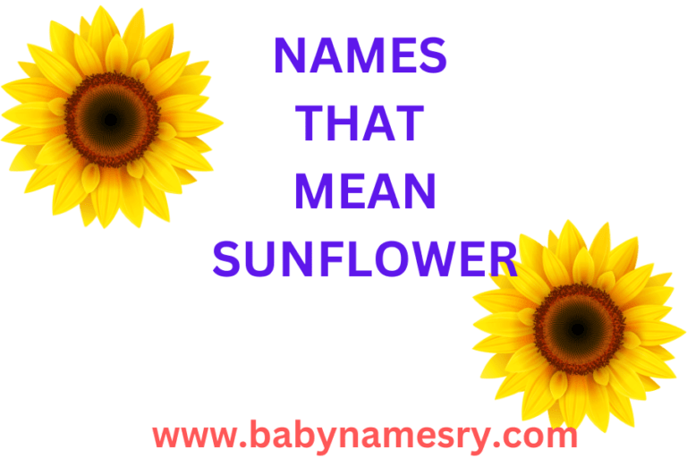 Names That Mean Sunflower