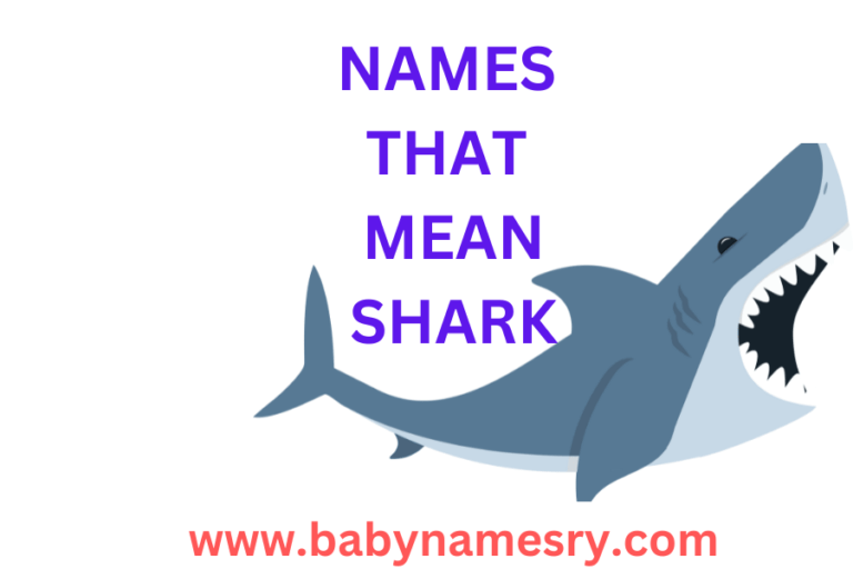 Names That Mean Shark