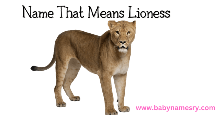 name that means lioness