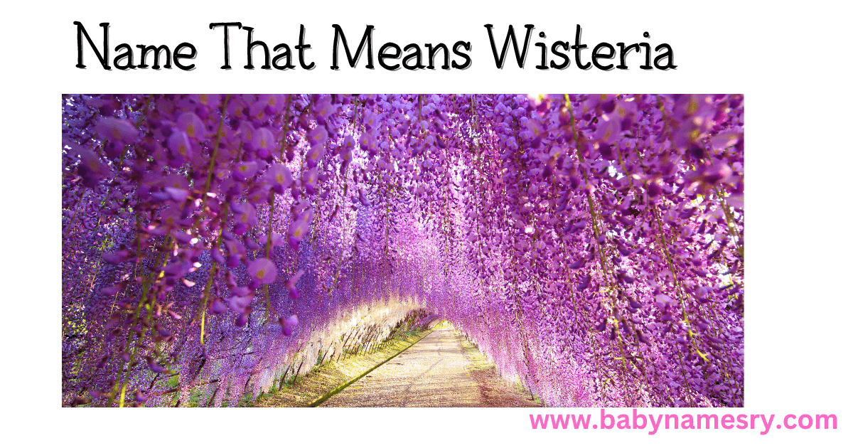 name that means wisteria