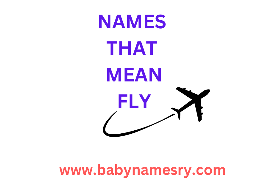 Names That Mean Fly