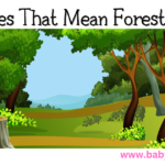 Names That Mean Forest