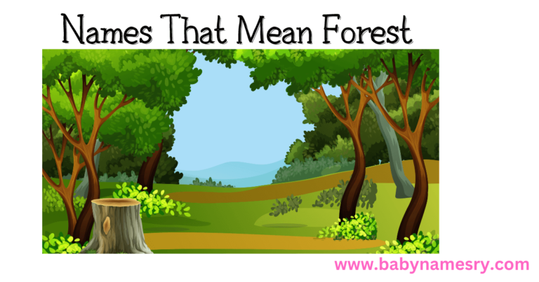 Names That Mean Forest