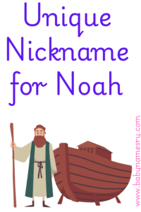 Unique Nicknames for Noah