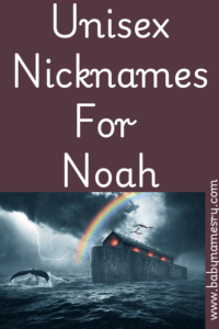 Gender-Neutral Nicknames for Noah