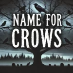 names for crows